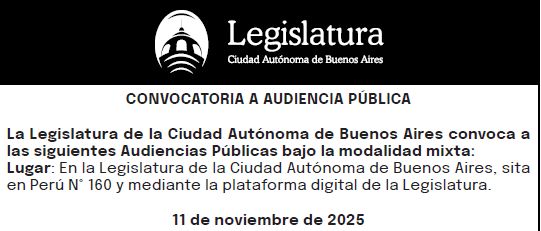 Audiencia publica del 11 de noviembre de 2025